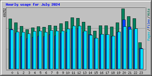 Hourly usage for July 2024