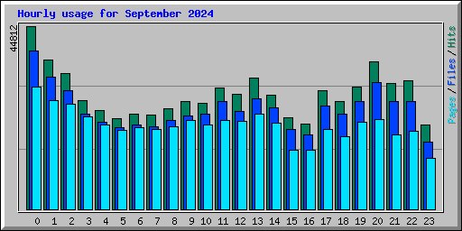 Hourly usage for September 2024