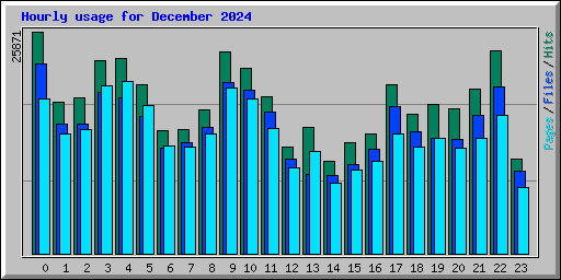 Hourly usage for December 2024