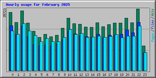 Hourly usage for February 2025