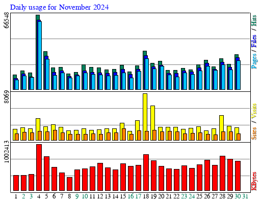 Daily usage for November 2024