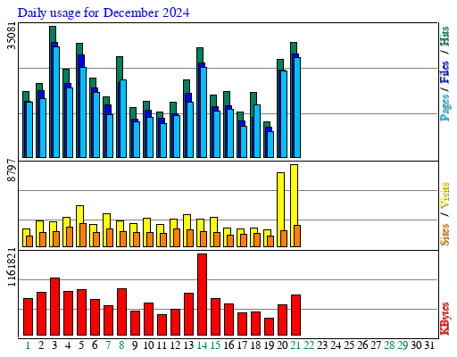 Daily usage for December 2024