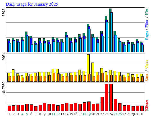 Daily usage for January 2025