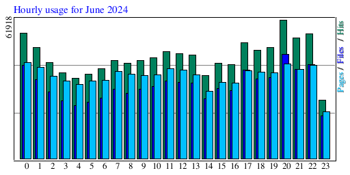 Hourly usage for June 2024