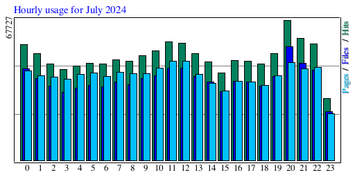 Hourly usage for July 2024