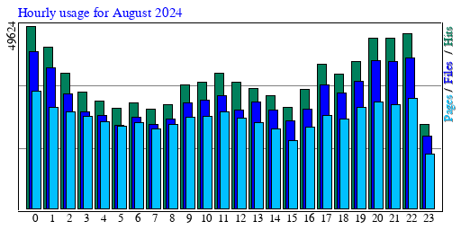 Hourly usage for August 2024