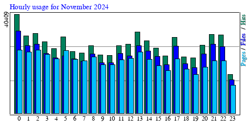 Hourly usage for November 2024