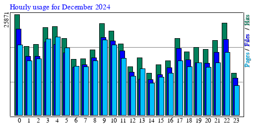 Hourly usage for December 2024