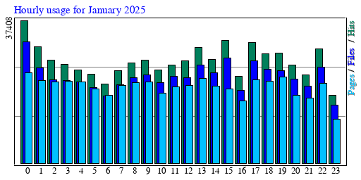 Hourly usage for January 2025